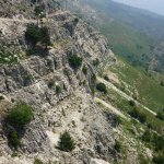 balazsh 2011